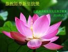 Published on 1/30/2014 ���ֹ�,��½�󷨵��ӹ�ףʦ���������(25��)
