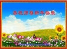 Published on 1/1/2016 ���ֹ�,��½�󷨵��ӹ�ףʦ���������(28��)
