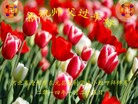 Published on 2/2/2014 ���ֹ�,���󷨵��ӹ�ףʦ������(27��)
