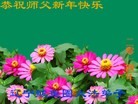 Published on 1/30/2014 ���ֹ�,��½�󷨵��ӹ�ףʦ���������(39��)
