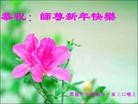 Published on 1/30/2014 ���ֹ�,��½�󷨵��ӹ�ףʦ���������(26��)
