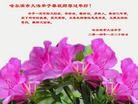 Published on 1/30/2014 ���ֹ�,��½�󷨵��ӹ�ףʦ���������(25��)
