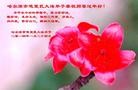 Published on 1/30/2014 ���ֹ�,��½�󷨵��ӹ�ףʦ���������(25��)
