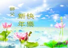 Published on 1/30/2014 ���ֹ�,��½�󷨵��ӹ�ףʦ���������(25��)

