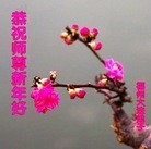 ���ֹ�,�����󷨵��ӹ�ףʦ�������(54��)
