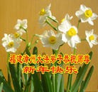 ���ֹ�,�����󷨵��ӹ�ףʦ�������(54��)
