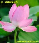 Published on 1/30/2014 ���ֹ�,��½�󷨵��ӹ�ףʦ���������(25��)
