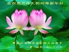 Published on 2/1/2014 ���ֹ�,��½�󷨵��ӹ�ףʦ���������(48��)
