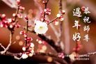 Published on 1/30/2014 ���ֹ�,��½�󷨵��ӹ�ףʦ���������(26��)
