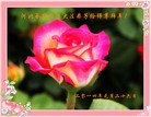 Published on 1/30/2014 ���ֹ�,��½�󷨵��ӹ�ףʦ���������(26��)
