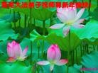 Published on 1/30/2014 ���ֹ�,��½�󷨵��ӹ�ףʦ���������(26��)
