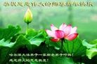 Published on 1/30/2014 ���ֹ�,��½�󷨵��ӹ�ףʦ���������(28��)
