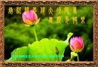 Published on 1/30/2014 ���ֹ�,��½�󷨵��ӹ�ףʦ���������(25��)
