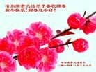 Published on 1/30/2014 ���ֹ�,��½�󷨵��ӹ�ףʦ���������(25��)
