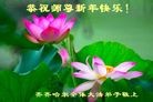 ���ֹ�,��������󷨵��ӹ�ףʦ�������(22��)
