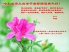 Published on 1/30/2014 ���ֹ�,��½�󷨵��ӹ�ףʦ���������(25��)

