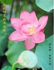 Published on 1/30/2014 ���ֹ�,��½�󷨵��ӹ�ףʦ���������(26��)
