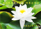 Published on 1/31/2014 ���ֹ�,�ػʵ��󷨵��ӹ�ףʦ���������(25��)

