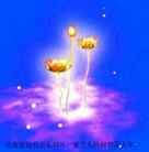 ���ֹ�,���ϴ󷨵��ӹ�ףʦ���������(26��)
