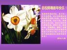 Published on 1/30/2014 ���ֹ�,��½�󷨵��ӹ�ףʦ���������(36��)
