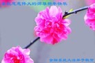 Published on 1/30/2014 ���ֹ�,��½�󷨵��ӹ�ףʦ���������(45��)
