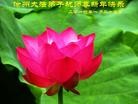 Published on 1/30/2014 ���ֹ�,��½�󷨵��ӹ�ףʦ���������(36��)

