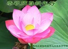 Published on 1/30/2014 ���ֹ�,��½�󷨵��ӹ�ףʦ���������(36��)
