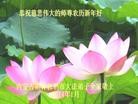 Published on 1/30/2014 ���ֹ�,��½�󷨵��ӹ�ףʦ���������(36��)
