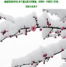 ���ֹ�,���ϴ󷨵��ӹ�ףʦ���������(26��)
