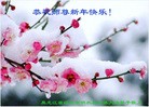 Published on 1/30/2014 ���ֹ�,��½�󷨵��ӹ�ףʦ���������(27��)
