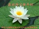 Published on 1/30/2014 ���ֹ�,��½�󷨵��ӹ�ףʦ���������(26��)
