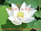 Published on 1/30/2014 ���ֹ�,��½�󷨵��ӹ�ףʦ���������(26��)
