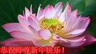 Published on 1/30/2014 ���ֹ�,��½�󷨵��ӹ�ףʦ���������(26��)

