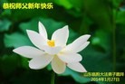 Published on 1/30/2014 ���ֹ�,��½�󷨵��ӹ�ףʦ���������(26��)
