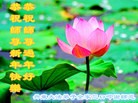 Published on 1/30/2014 ���ֹ�,��½�󷨵��ӹ�ףʦ���������(26��)
