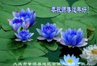 Published on 2/4/2014 ���ֹ�,��½�󷨵��ӹ�ףʦ���������(30��)
