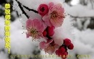 Published on 2/4/2014 ���ֹ�,���󷨵��ӹ�ףʦ������(25��)
