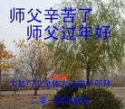 Published on 1/30/2014 ���ֹ�,��½�󷨵��ӹ�ףʦ���������(30��)

