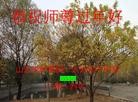 Published on 1/30/2014 ���ֹ�,��½�󷨵��ӹ�ףʦ���������(30��)
