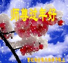 Published on 1/30/2014 ���ֹ�,��½�󷨵��ӹ�ףʦ���������(26��)

