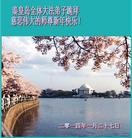 ���ֹ�,�ػʵ��󷨵��ӹ�ףʦ���������(25��)
