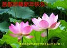Published on 1/30/2014 ���ֹ�,��½�󷨵��ӹ�ףʦ���������(39��)
