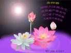 Published on 2/4/2014 ���ֹ�,���󷨵��ӹ�ףʦ������(25��)
