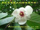 Published on 2/2/2014 ���ֹ�,�ػʵ��󷨵��ӹ�ףʦ���������(26��)
