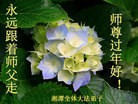 Published on 2/4/2014 ���ֹ�,��½�󷨵��ӹ�ףʦ���������(30��)
