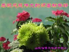 Published on 1/30/2014 ���ֹ�,��½�󷨵��ӹ�ףʦ���������(31��)
