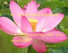 Published on 1/30/2014 ���ֹ�,��½�󷨵��ӹ�ףʦ���������(32��)
