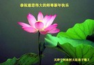 Published on 1/30/2014 ���ֹ�,��½�󷨵��ӹ�ףʦ���������(32��)
