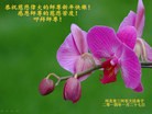 Published on 1/30/2014 ���ֹ�,�ȷ��󷨵��ӹ�ףʦ���������(24��)
