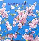 ���ֹ�,Ϋ���󷨵��ӹ�ףʦ���������(29��)
